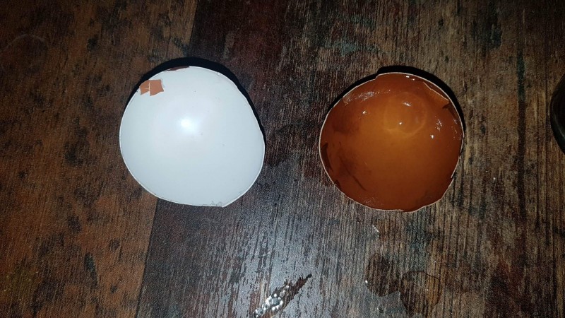 Nahaufnahme beim Eierschalen-Versuch mit schwarzem Kaffee (Zahnverfärbung Test)
